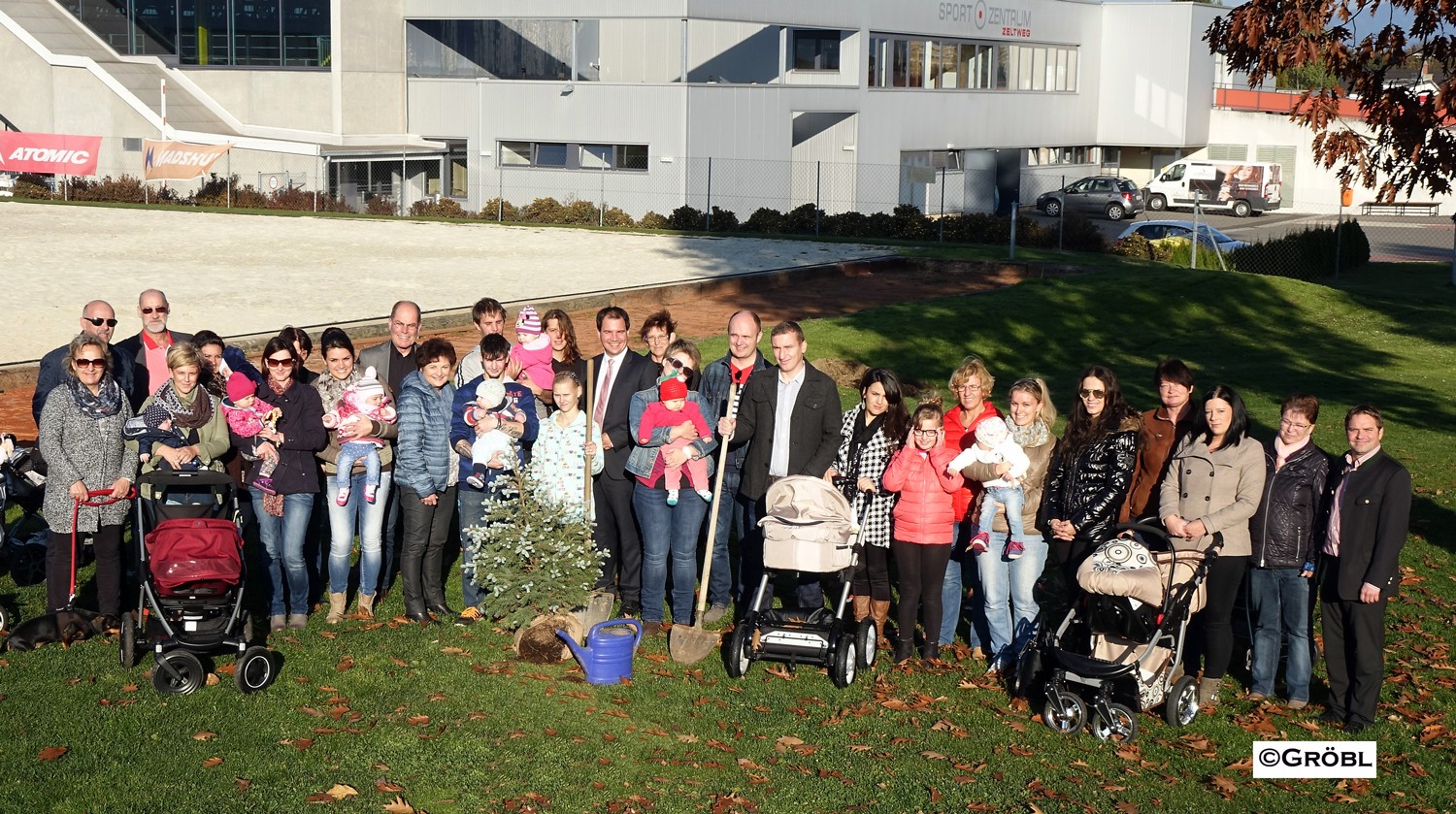 Baumsetzaktion 2015