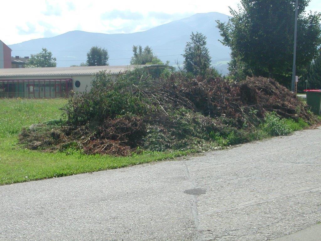 Grünschnittabfuhr in Zeltweg