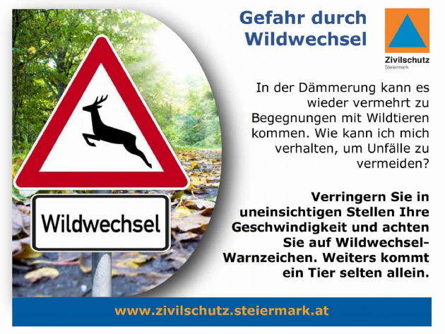 Flyer "Gefahr durch Wildwechsel" und Info, wie Unfälle zu vermeiden sind