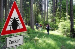 Die warme Jahreszeit ist Zeckenzeit!