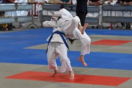 18. Internationales Judoturnier