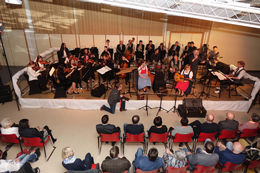 Viel-Harmonisches Neujahrskonzert