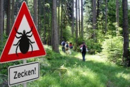 Die warme Jahreszeit ist Zeckenzeit!